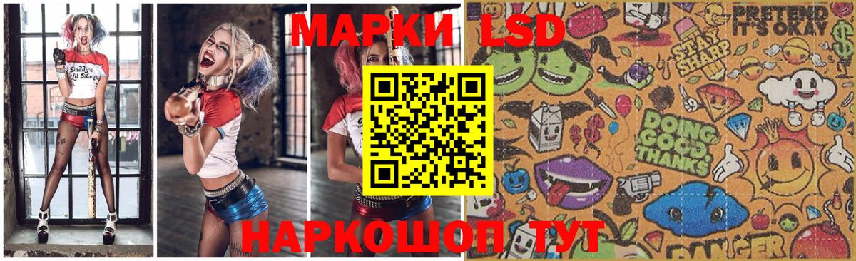 LSD-25 экстази кислота  Вход с VPN  Гатчина 