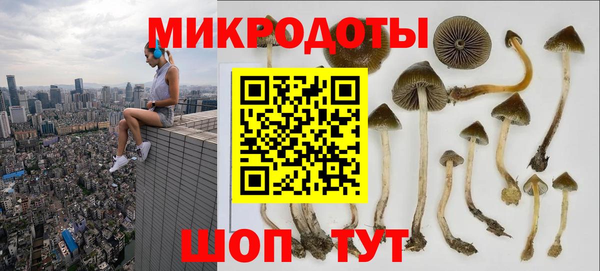 Гатчина  Галлюциногенные грибы Psilocybine cubensis  Галлюциногенные грибы мухоморы  Вход с VPN 