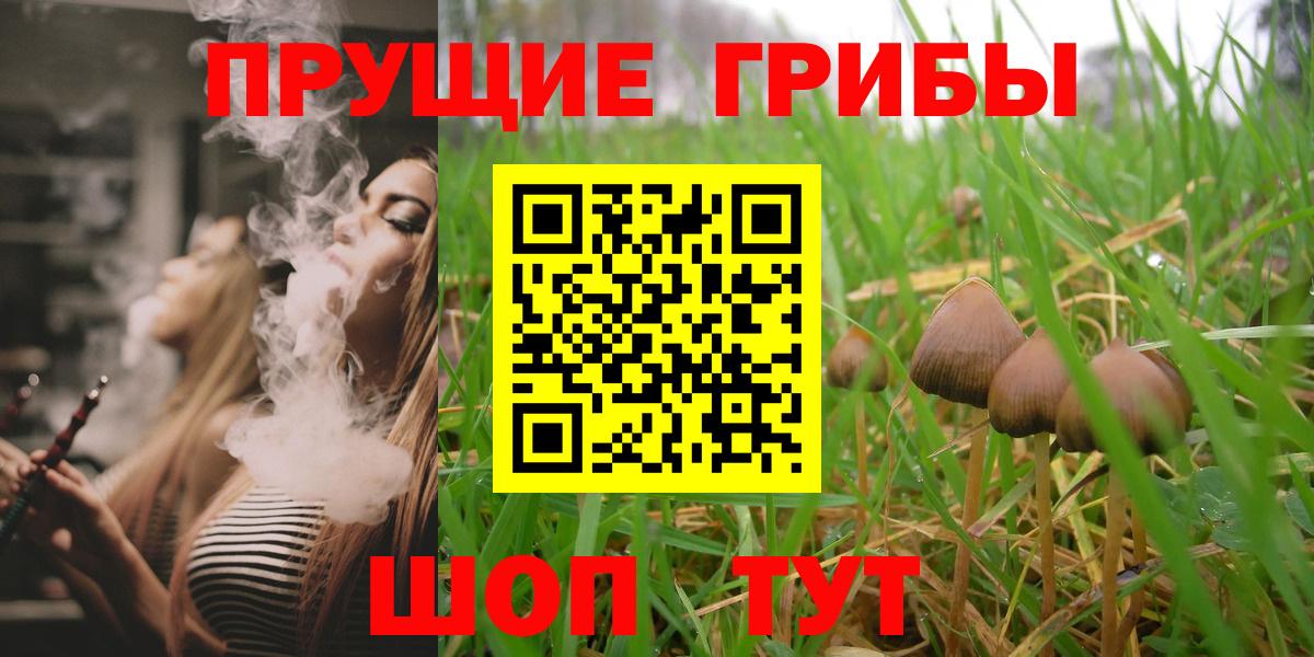 Псилоцибиновые грибы мухоморы Гатчина