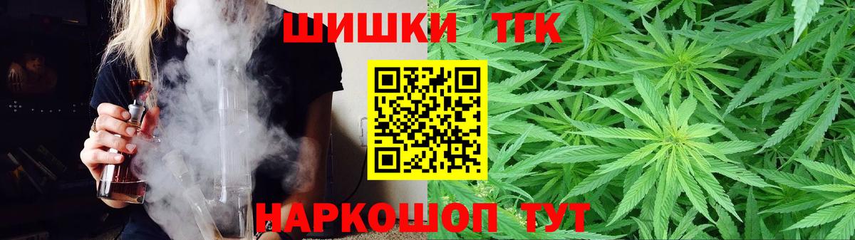 Меф Гатчина